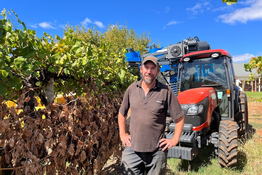 Robert Kennedy stands beside a row of vines and his tractor and new harvester are in the background