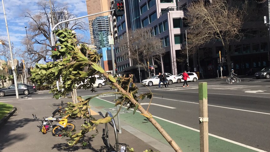 Bikes are knocked down and a shrub pulled from its stake in Melbourne's CBD.