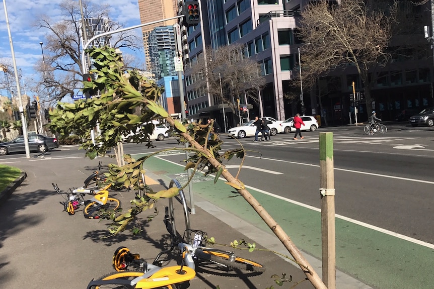 Bikes are knocked down and a shrub pulled from its stake in Melbourne's CBD.