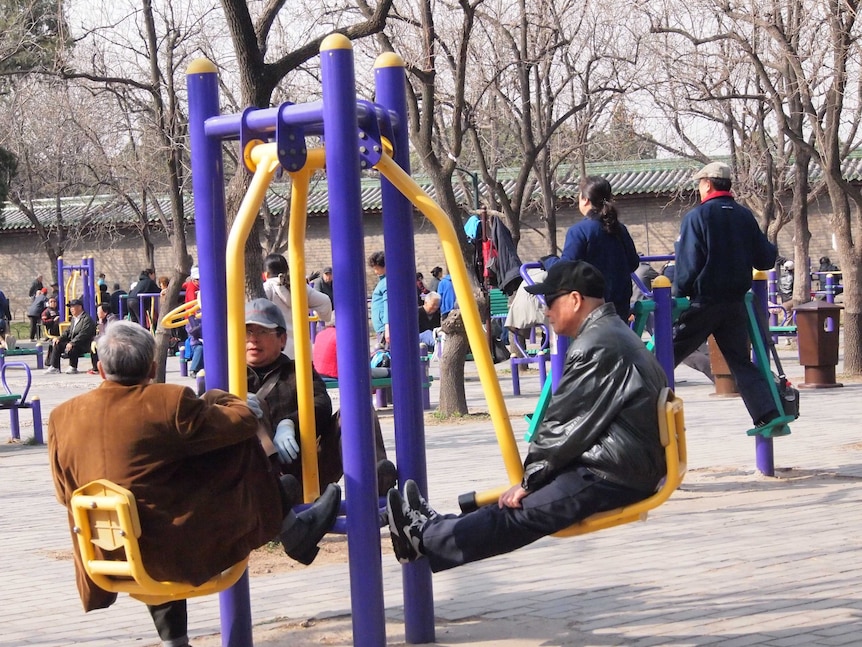 Three men exercise using a seniors' playground.