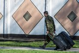 Ukrainian marine leaves base with suitcases