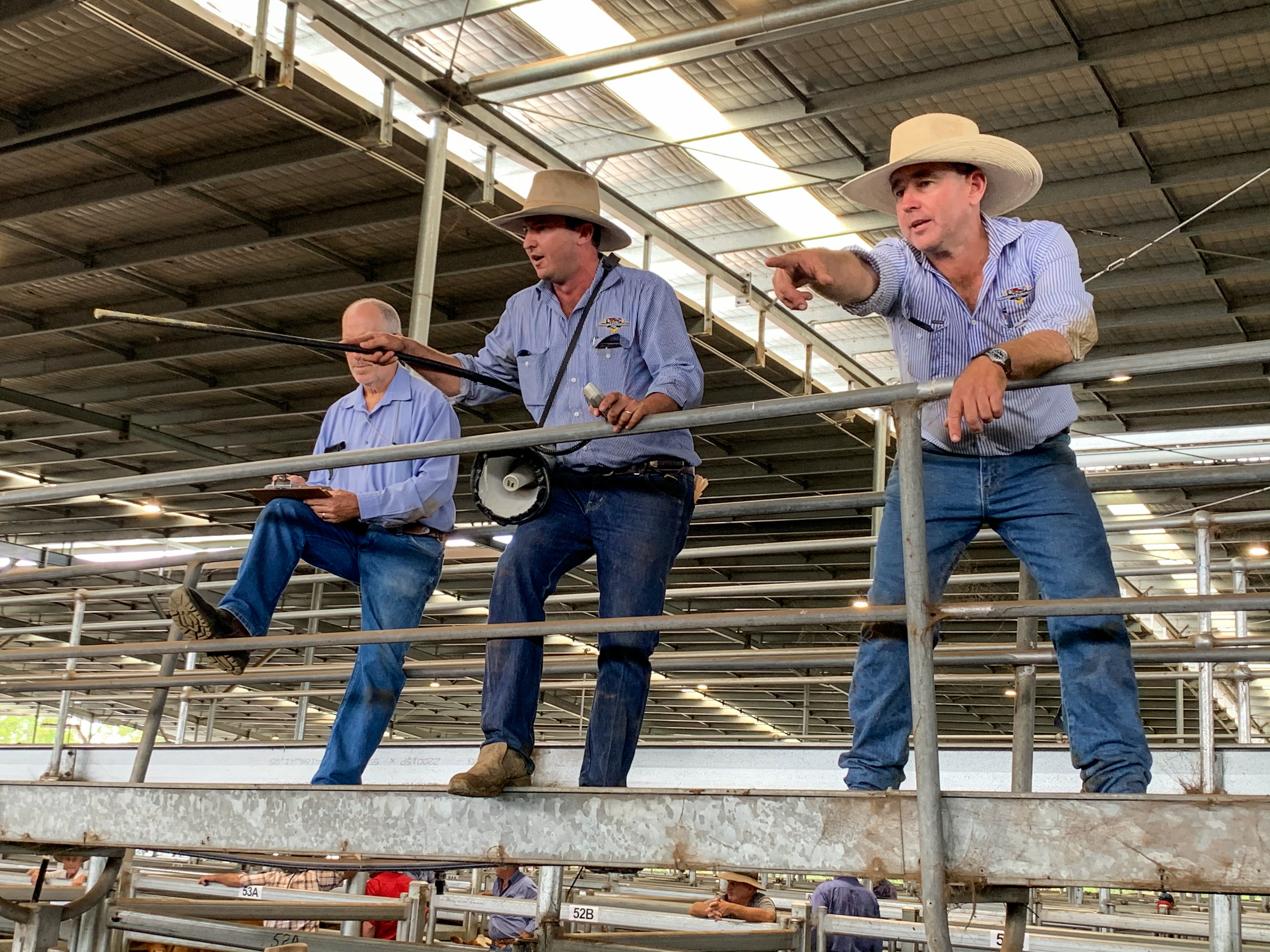 Two men in blue shirts and cream cowboy hats selling cattle.