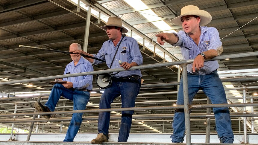 Two men in blue shirts and cream cowboy hats selling cattle.