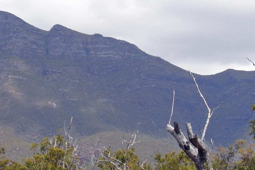 Bluff Knoll on the left