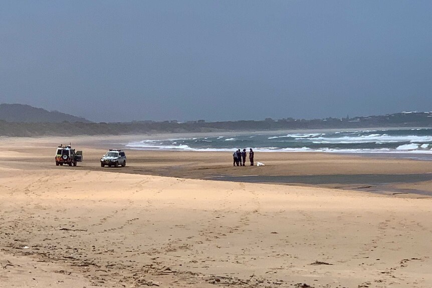 Police and ambulance officers stand on the beach with a white sheet covering a body.