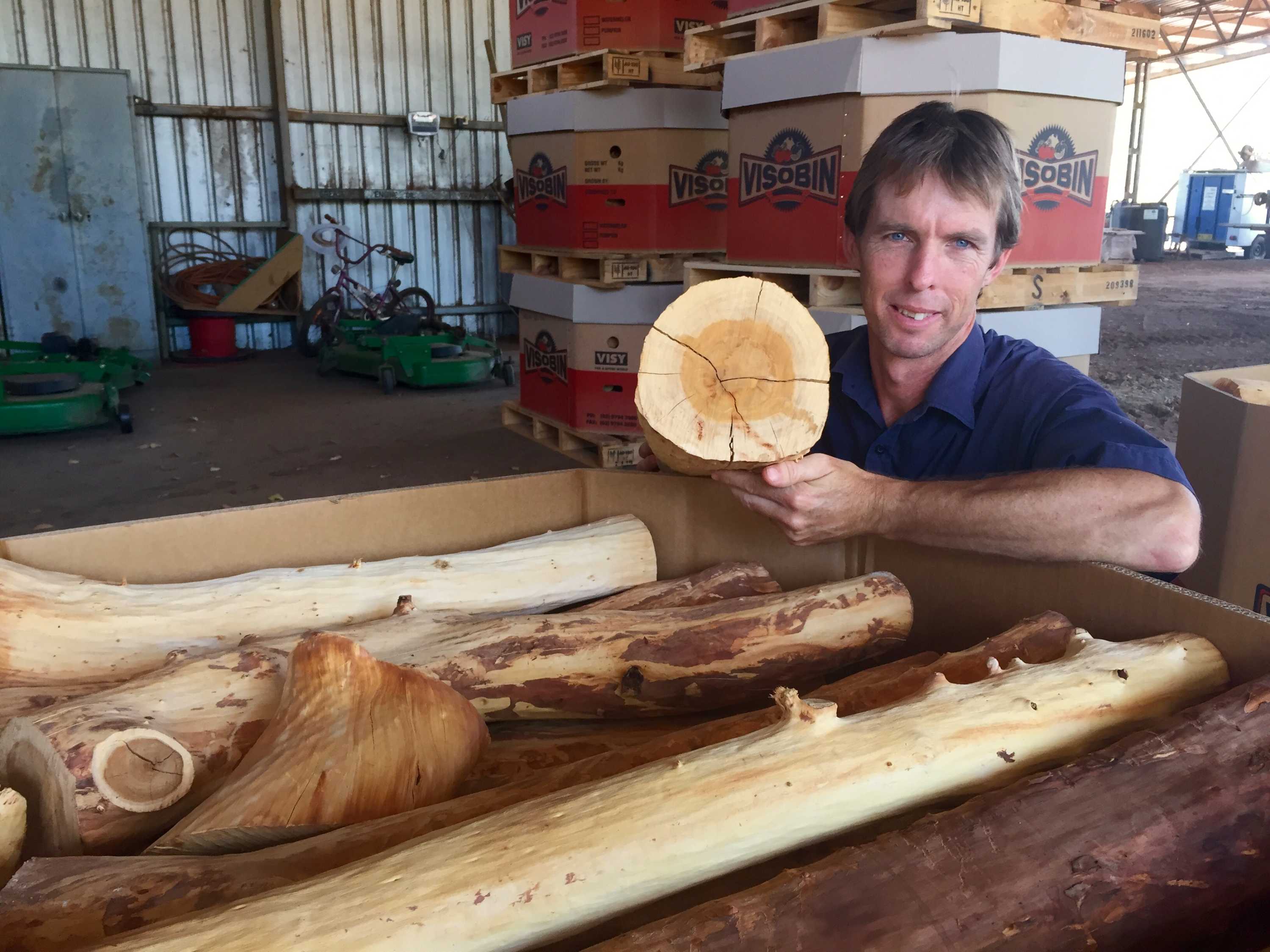 Decision To Grow Indian Sandalwood Paying Off For Ord Valley Farmer Abc News