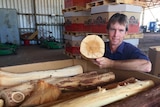 Indian sandalwood grower Paul Mock