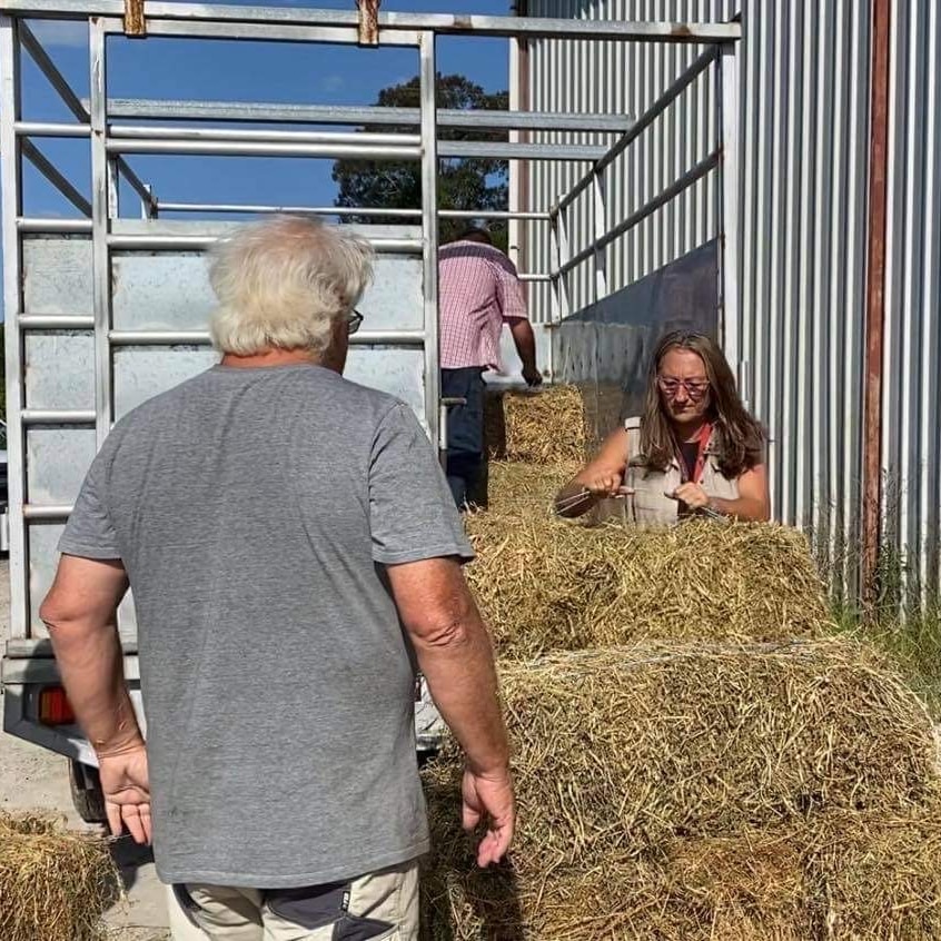 A woman lifts a bale of hay while two men watch her