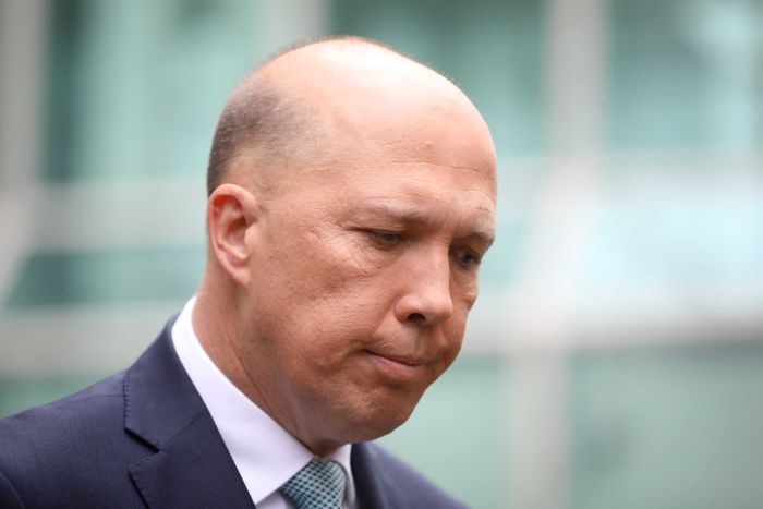 Chinese billionaire seeking citizenship paid lobbyist to meet Dutton