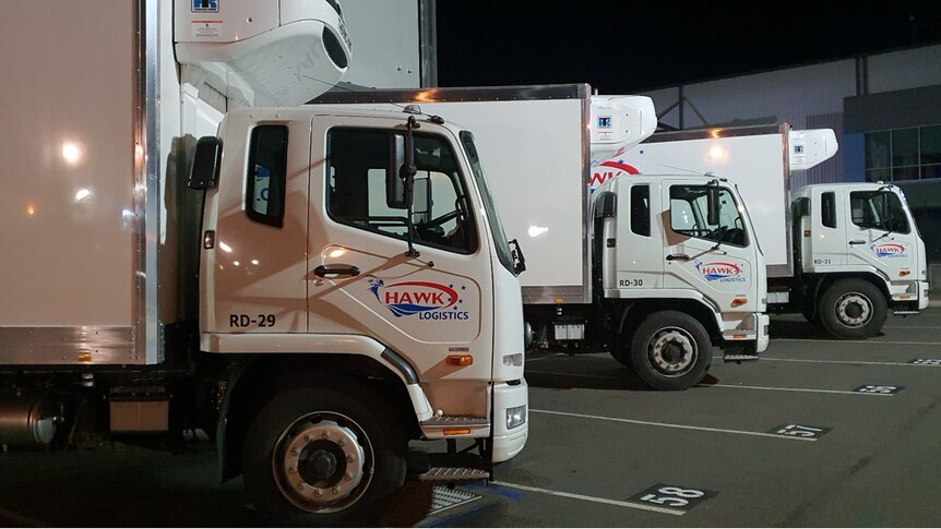 Three white trucks with refrigerated trailers lined up in a depot.
