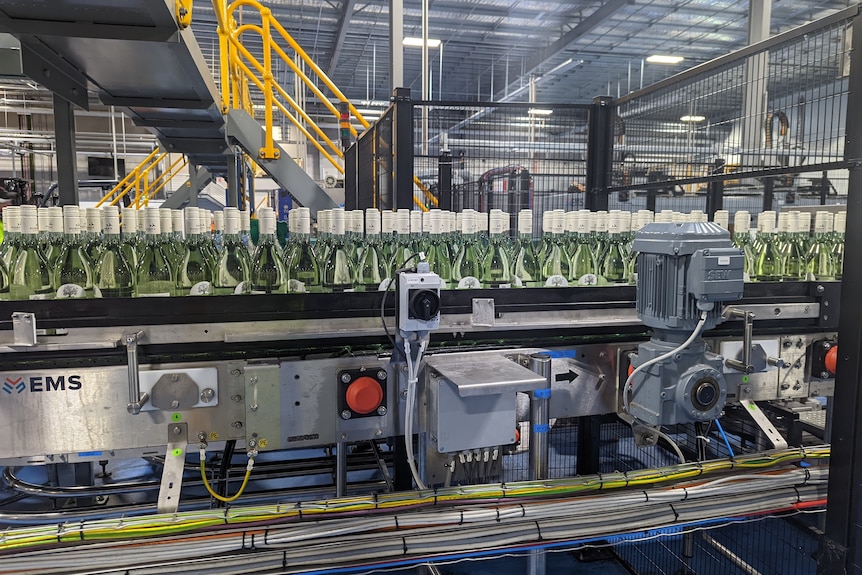 A machine line filled with bottles of wine. 