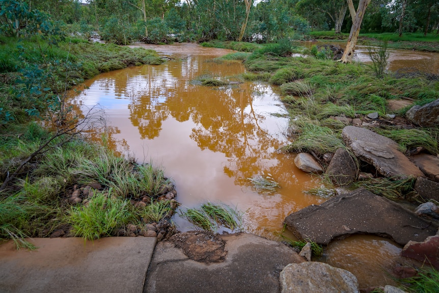 a caramel coloured pool of water near green marshes and rocks