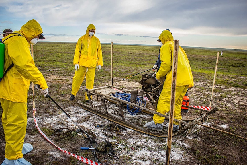 Russian Emergency Ministry: anthrax clearing