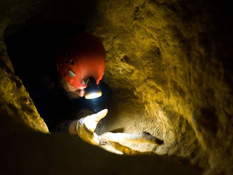 Keen cavers explore the dark secrets of SA - ABC News