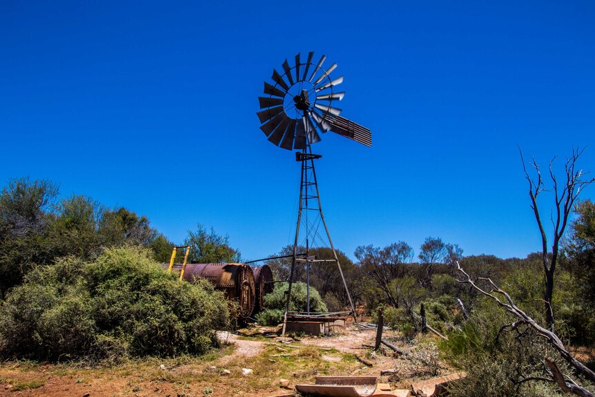 Windmill on pastoral station in outback Western Australia