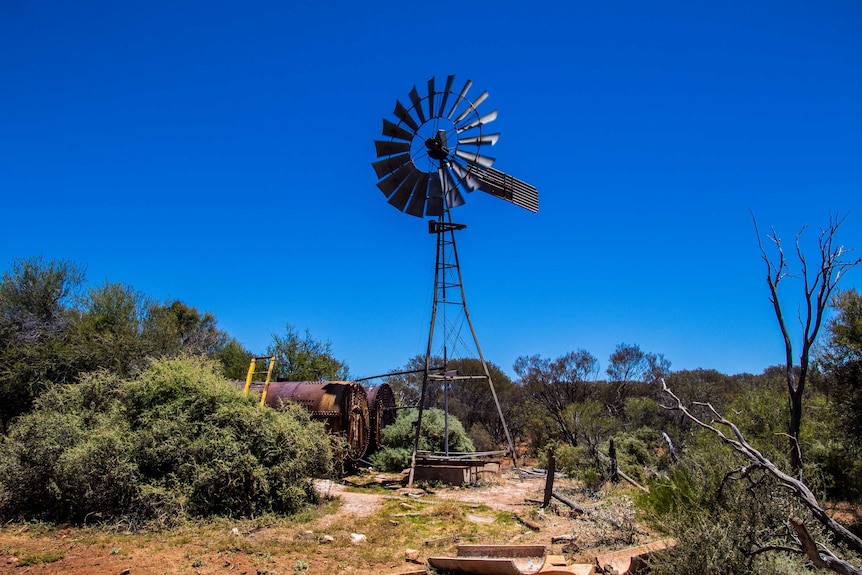 Windmill on pastoral station in outback Western Australia