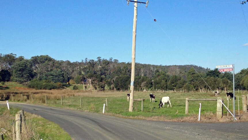 The attack took place on Old Deloraine Road behind Latrobe.