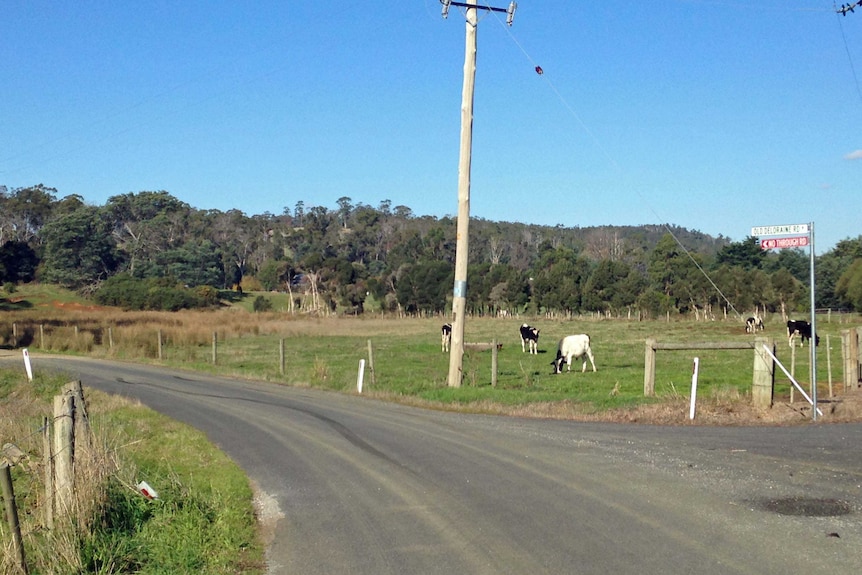 The attack took place on Old Deloraine Road behind Latrobe.