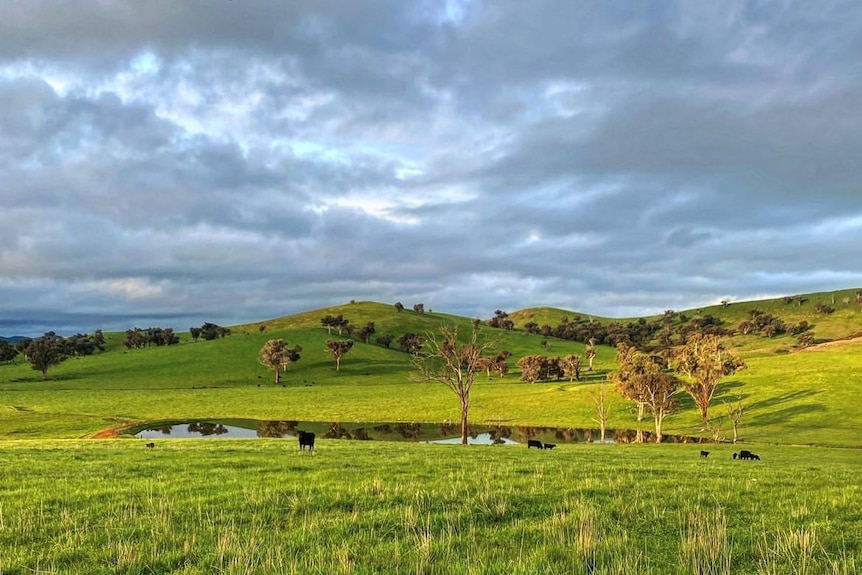 Rolling green hills and a dam.