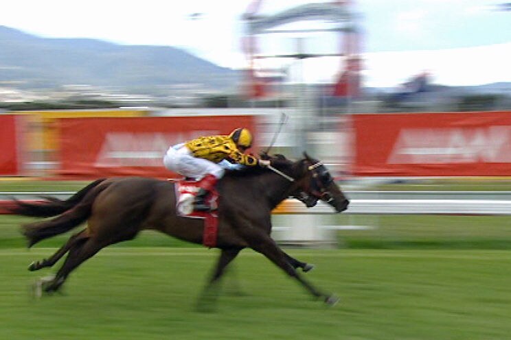Winner of the 2009 Hobart Cup, Gotta Keep Cool crosses the finish line.