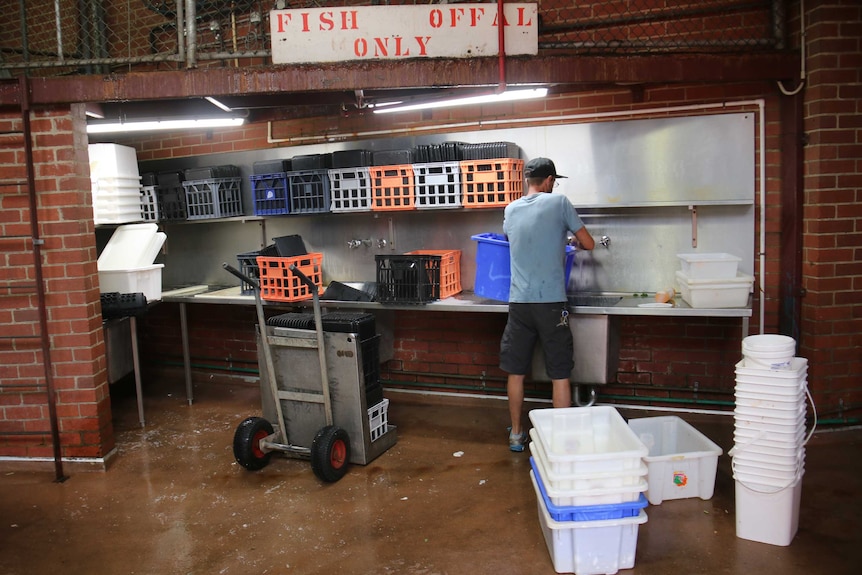 Davide Alberti stands with his back to the camera, washing dishes.