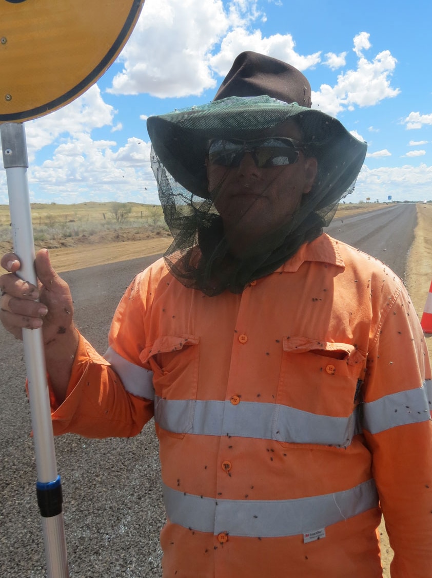 Traffic controller Mark King working near Winton in central-west Queensland in March 2014, says he has never seen so many flies