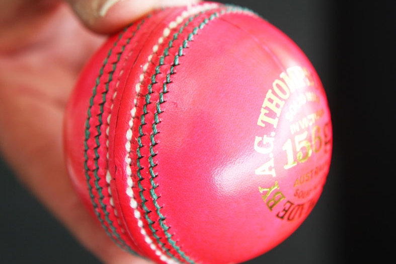 A pink cricket ball pictured in Adelaide in February 2010.