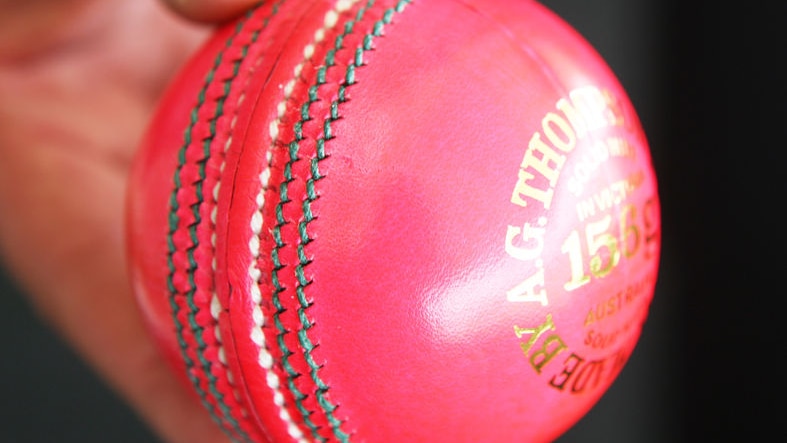 Official gets hands on pink ball