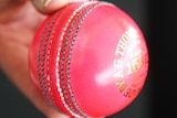 Official gets hands on pink ball