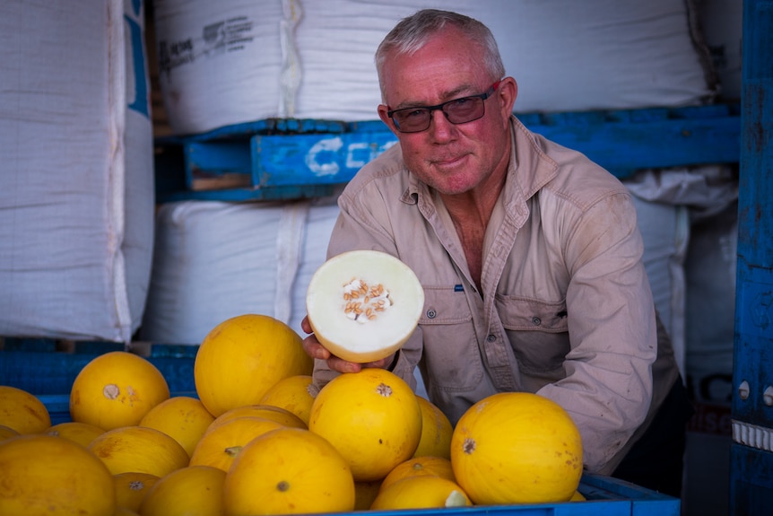 A man poses with yellow coloured melons.