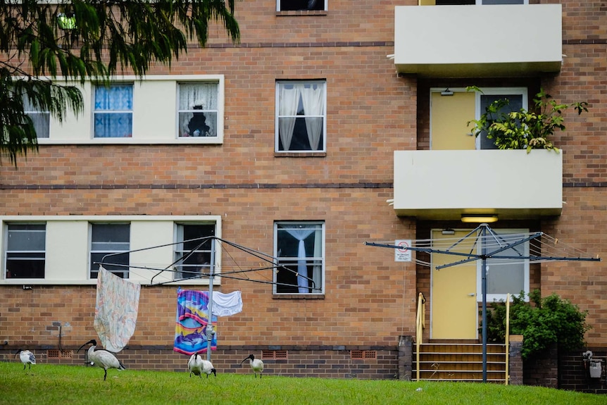 Shortland street flats