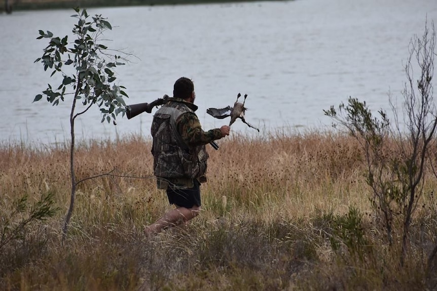 A man with a shotgun over his shoulder, swinging a duck by its neck. 