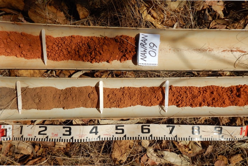 Soil samples