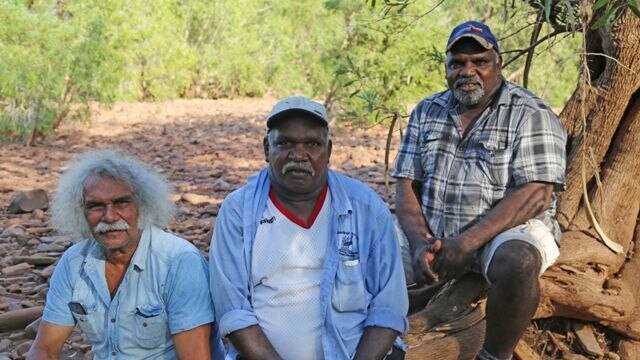 Maurie Ryan Japarta sit with his brothers Justin and Michael Paddy on the stumps of a tree.