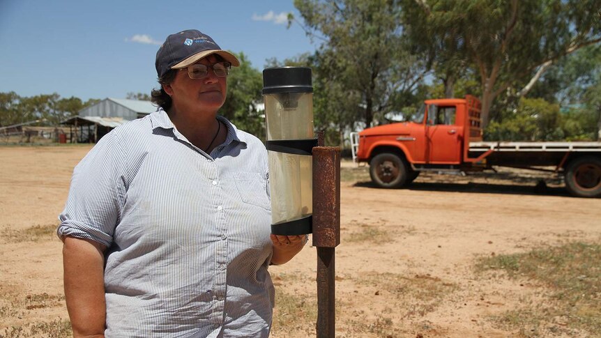 Jenny Gordon checks the rain gauge on El Kantara Station with a red truck in the background