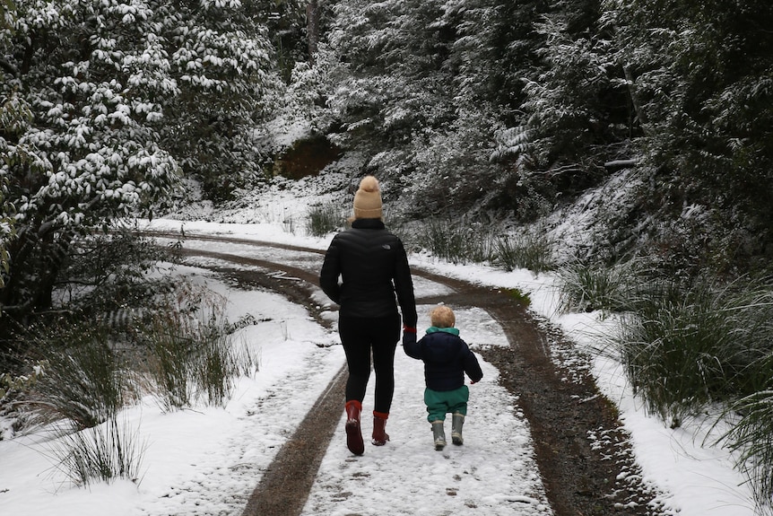 A woman holds the hand of a child as they walk down a snowy road.