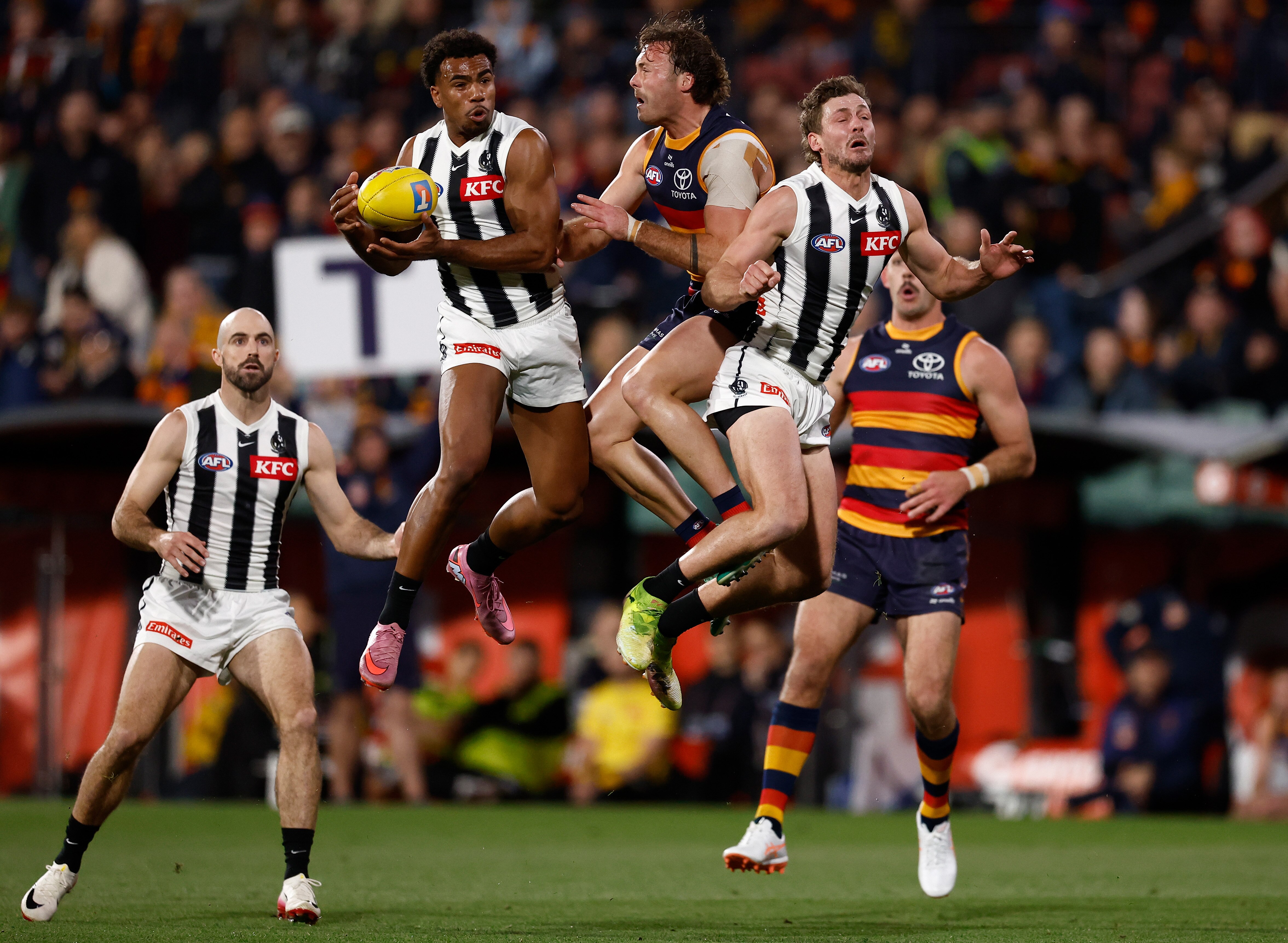 'It's a shocking look for the game' Adelaide crowd boos Quaynor