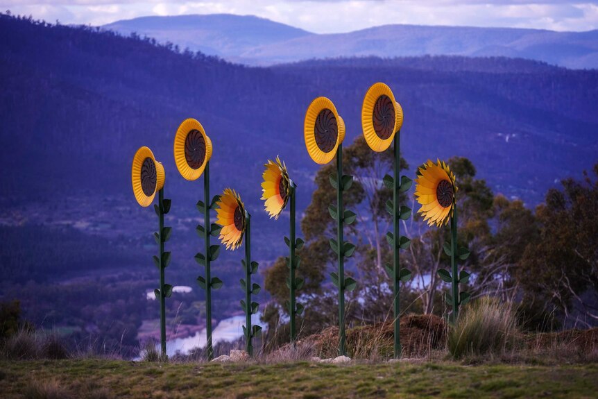 Metal sunflower sculptures made out of street lights.