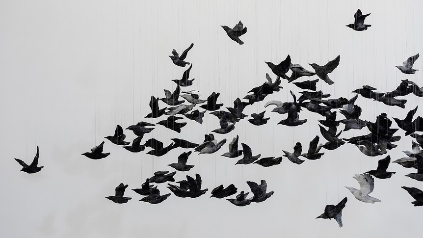 Close-up photograph of porcelain birds from installation artwork Murmuration by Cai Guo-Qiang at National Gallery of Victoria.