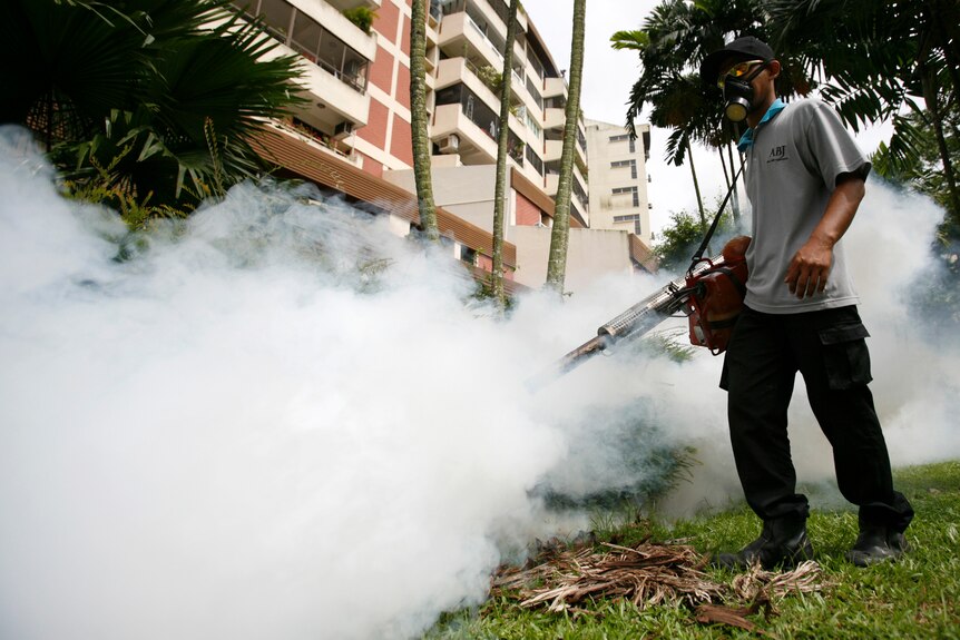 A contractor fumigates a garden area to help prevent the breeding of Aedes mosquitoes at a residential estate.