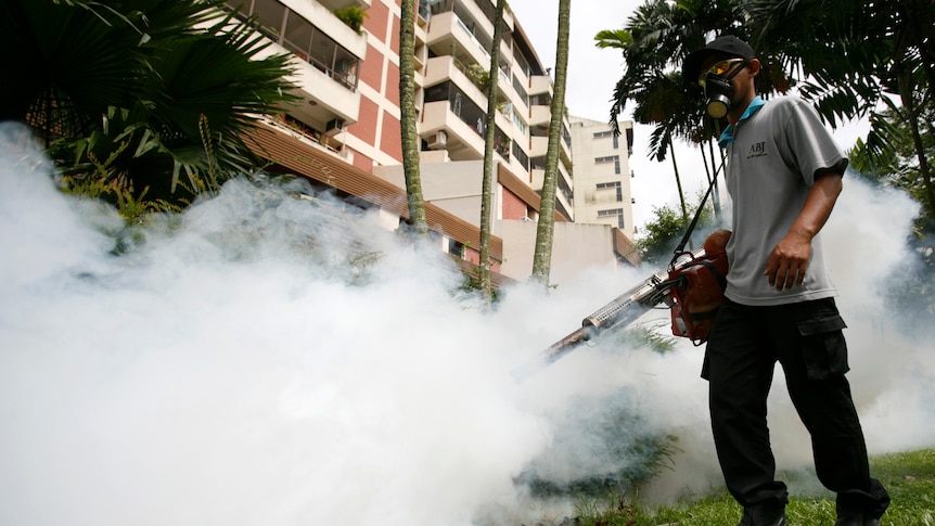 Singapore faces a dengue “emergency” and the peak season is just beginning