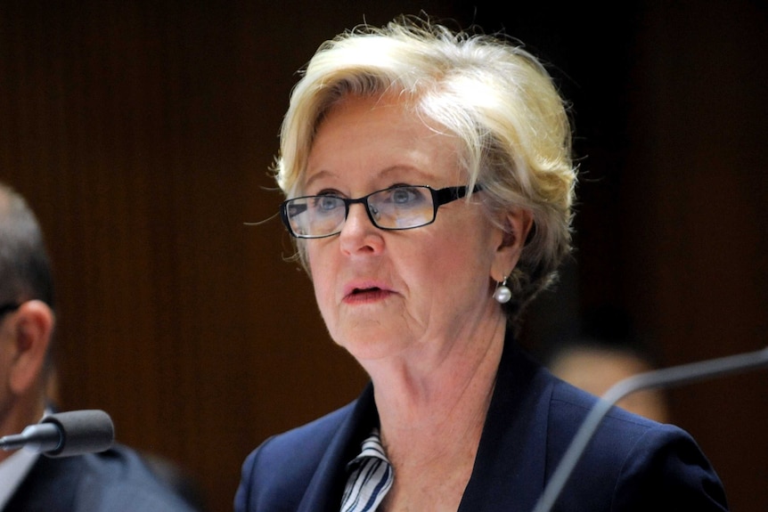 Human Rights Commission president Gillian Triggs.