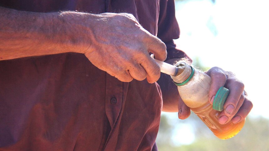 Don Sallway fills a syringe with urine harvested from one of his own dogs.