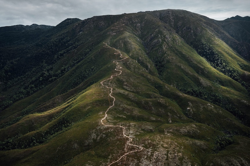 A mountain bike trail snakes down a green mountain ridgeline.