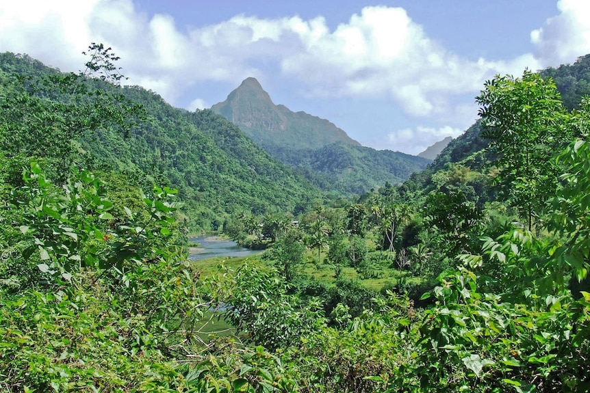 A mountain rises in the distance, shrubs and trees in the foreground.