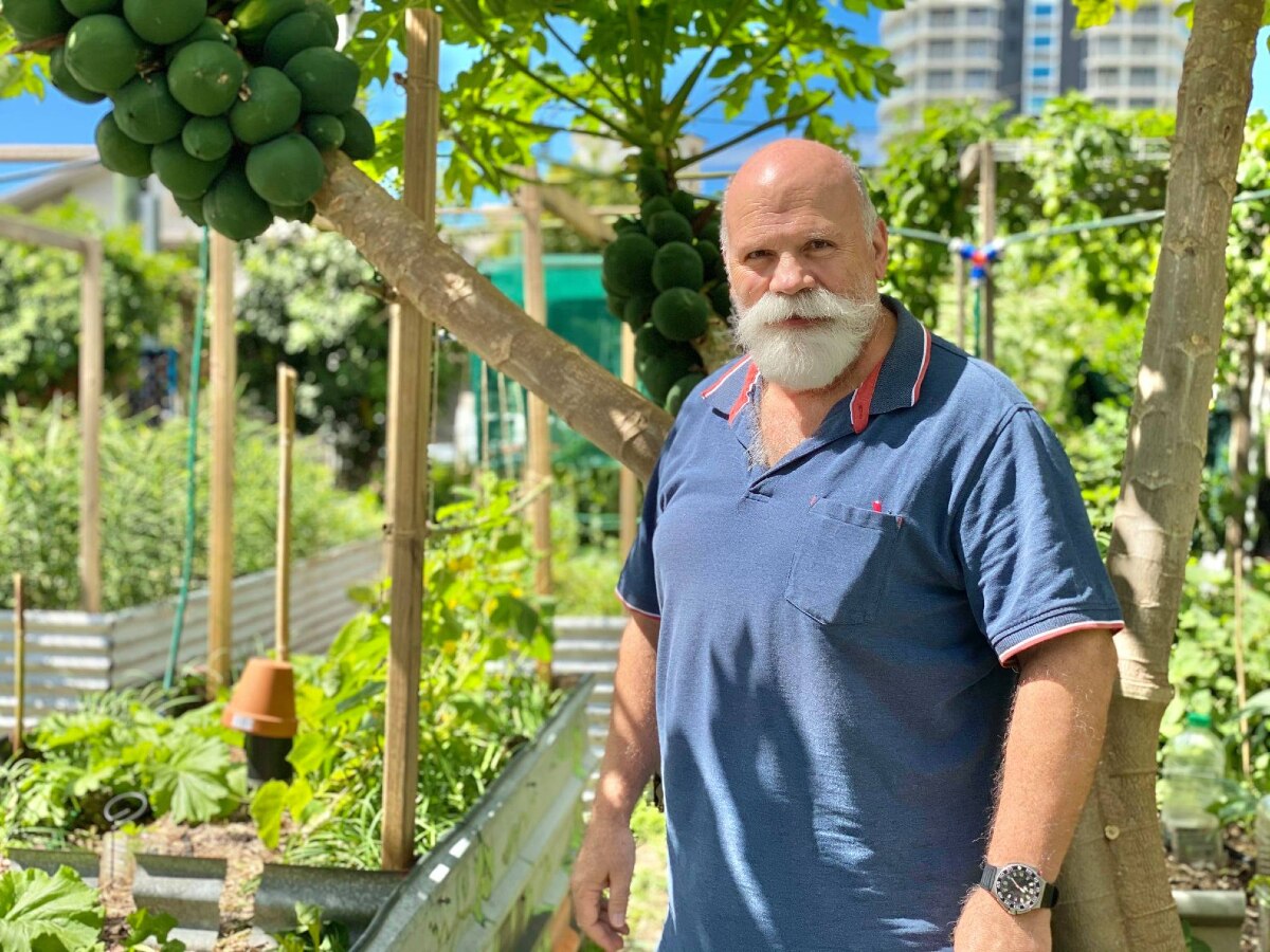 Man stands amid a fruit and veg garden outside on a sunny day