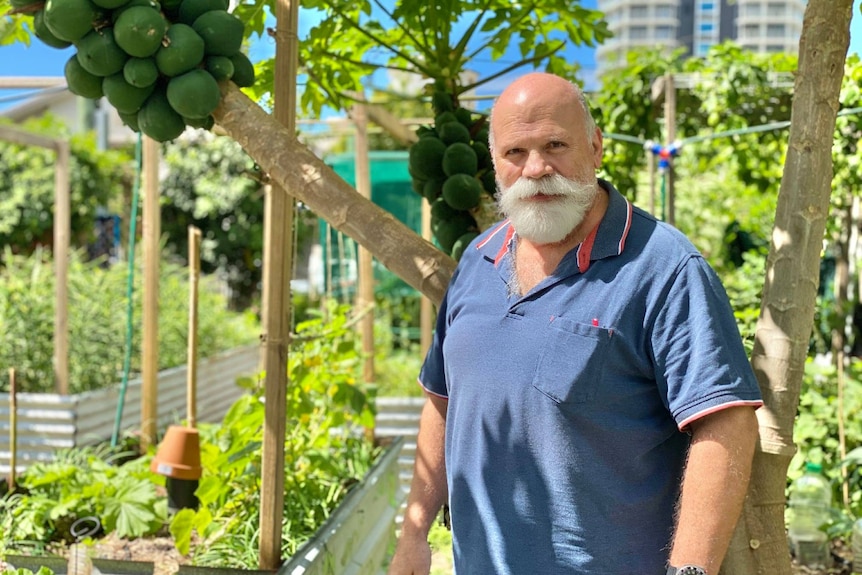 Man stands amid a fruit and veg garden outside on a sunny day