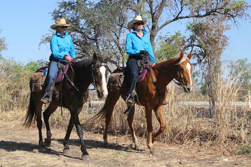 two women in blue shirts and hats on horseback with a tree in the background.