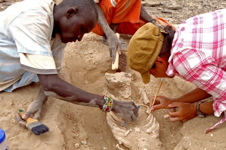 Archaeologists unearth 10,000 year old skeleton in Africa