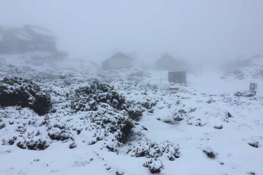 Snow on huts at Ben Lomond